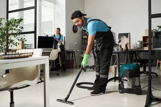 Professionelle Reinigung